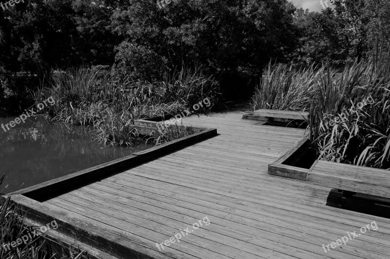 Elevated Wooden Path River Walkway Lake River Outdoor