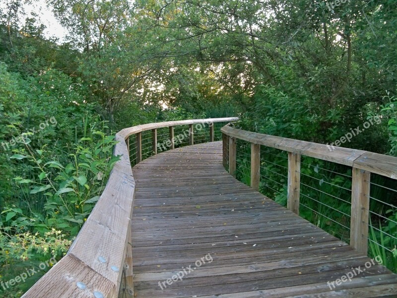 Park Boardwalk Nature Trail Trees