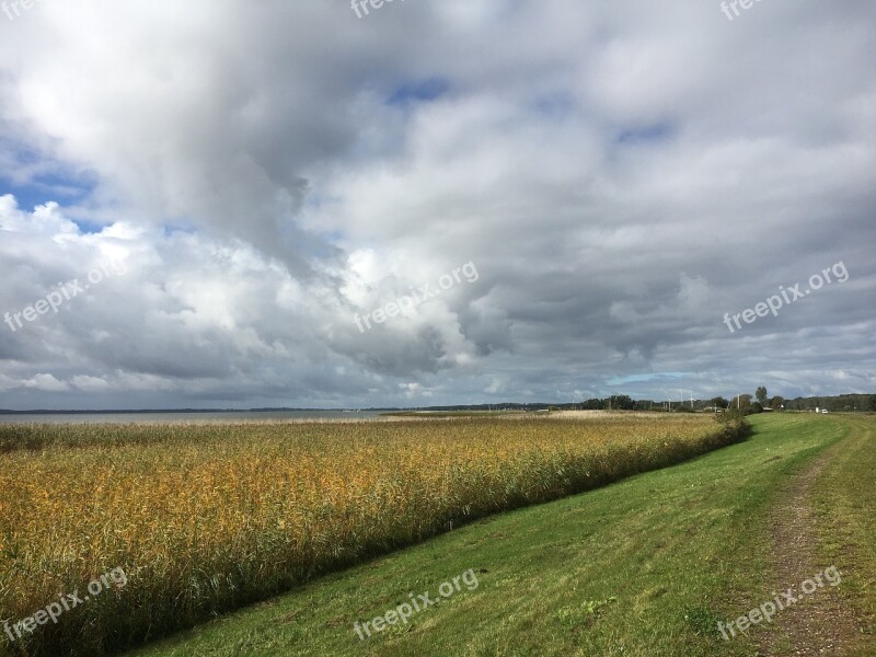 Usedom Reed Belt Eighth Water Clouds Free Photos