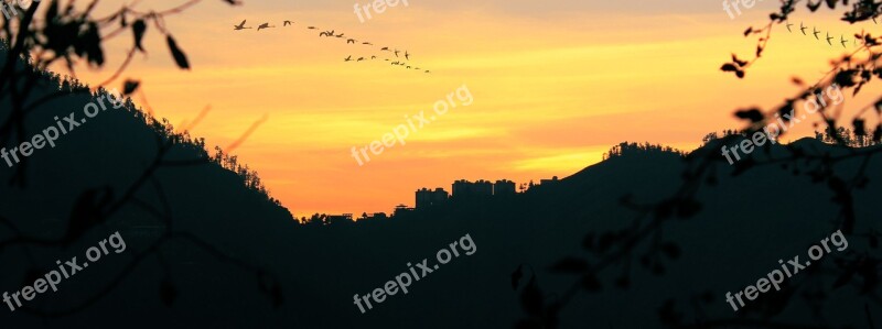 India Shimla Himachal Pradesh North