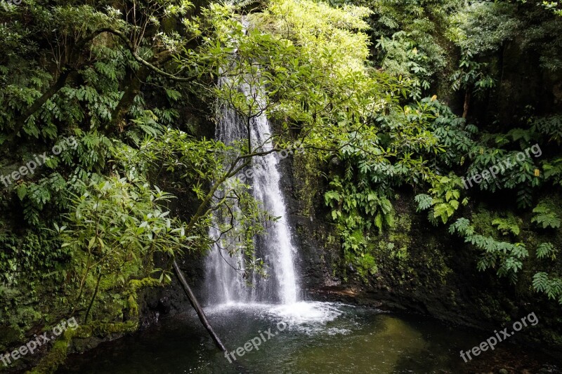 Landscape Nature Trees Water Cascade