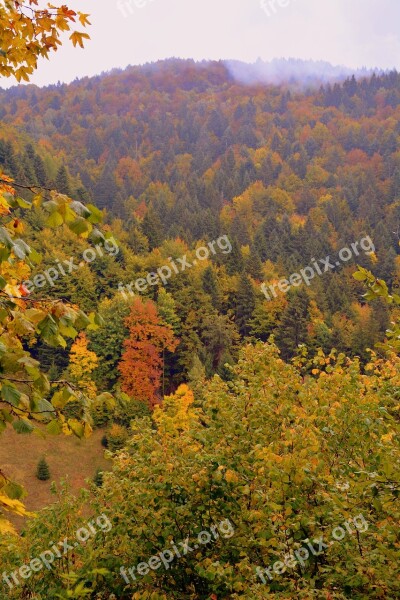 Forest Mountain Expanse The European Path E5