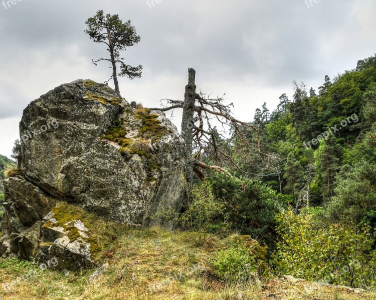 The Gorge Of Hell Lozere Rock Tree Free Photos