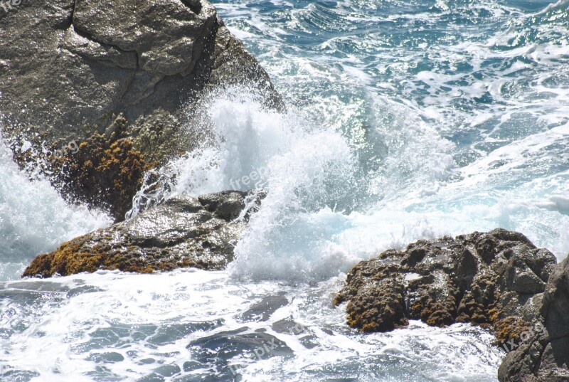 Rock Sea Rocks Landscape Scum