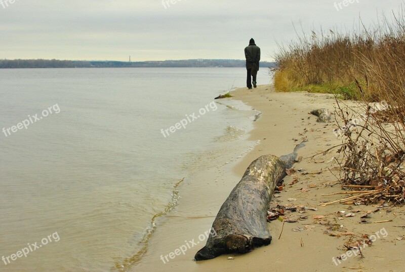 River Balance Beam Man Free Photos