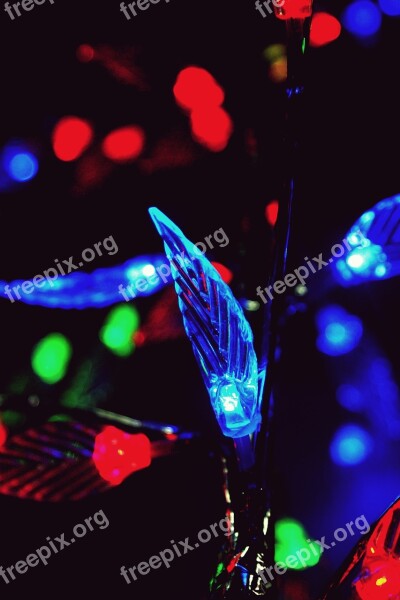 Lights Blue Red Design Black