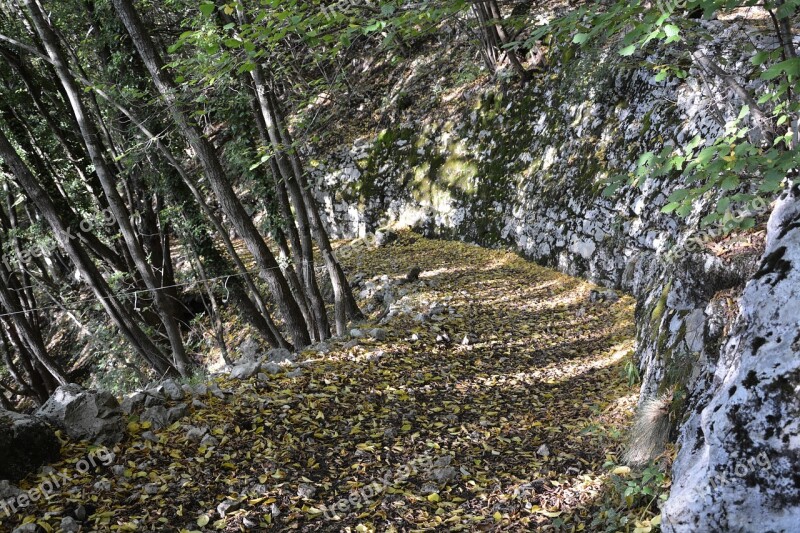 Excursion Forest Autumn Trail Mountain