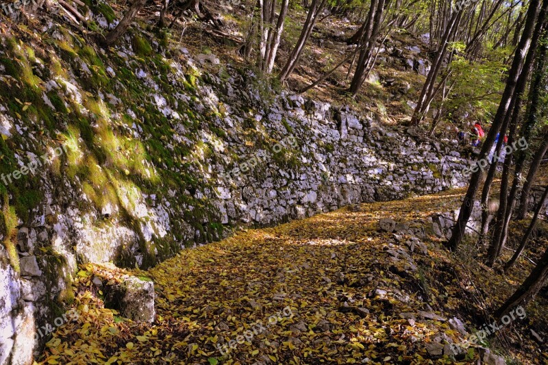 Excursion Forest Autumn Trail Mountain