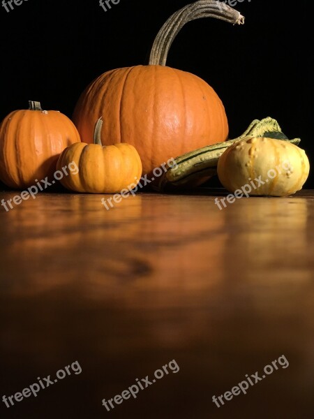 Pumpkin Orange Gourd Squash Yellow