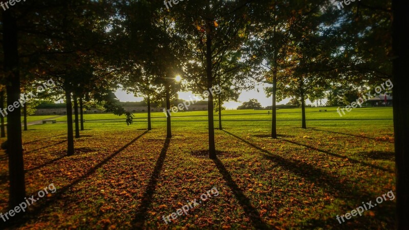 Nature Autumn Colours Germany Park