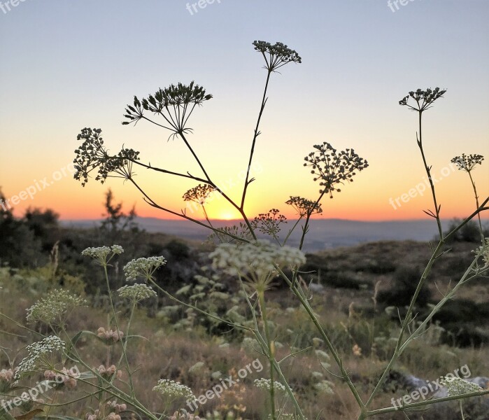 Sunset Coucher De Soleil Free Photos