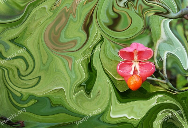 Flower Green Macro Flowers Beautiful Flower