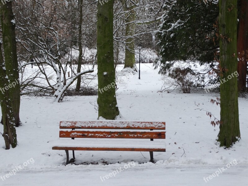 Bench Winter Snow Park Tree