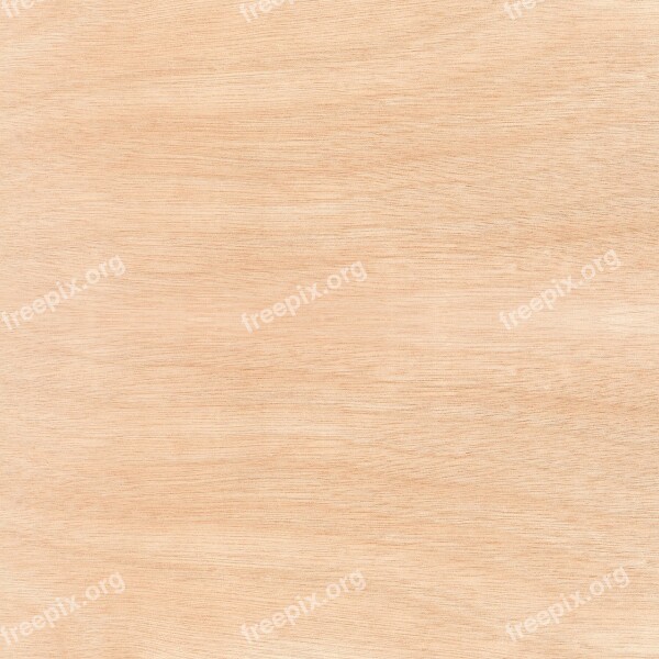 Wood Texture Weathered Wood Floor Free Photos