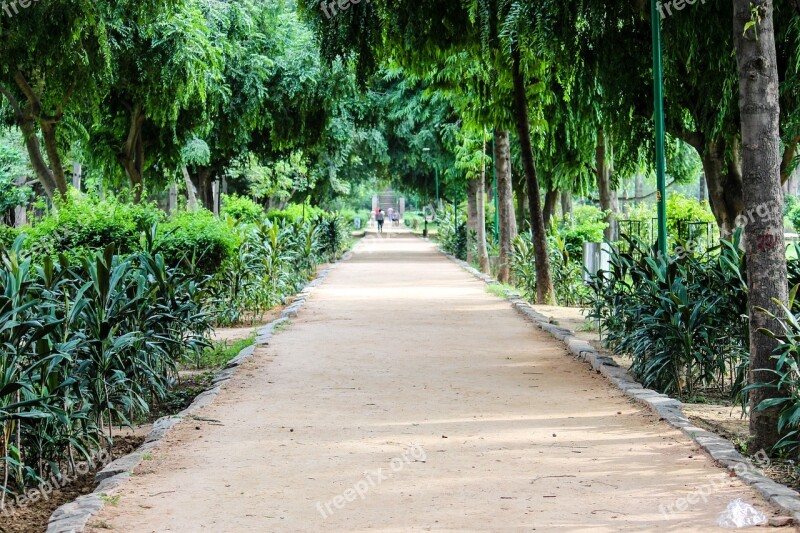 Path Greenery Park Footpath Garden