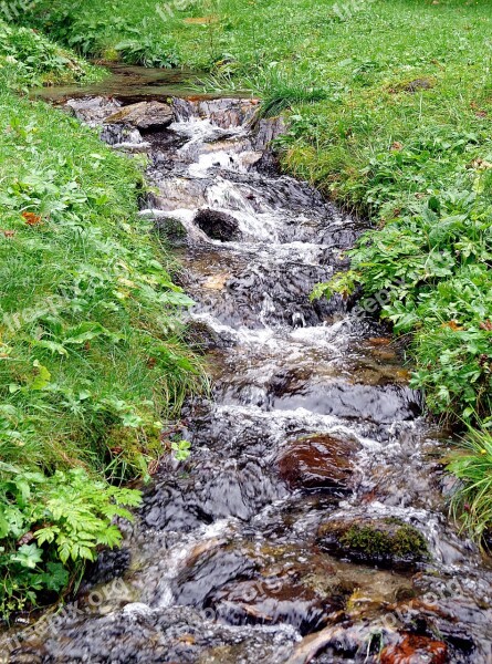 Stream Torrent Mountain Water Liquid