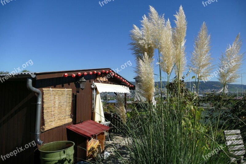 Garden Shed Garden Nature Rest Reed