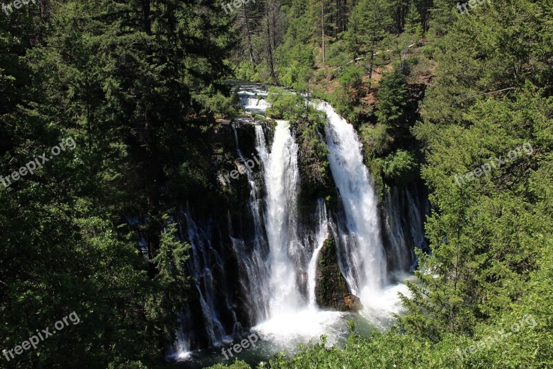 Burney Falls Waterfall Trees Water Falls