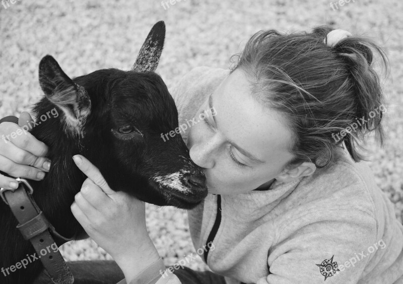 Kiss Kisses Young Girl Young Woman Goat Complicity