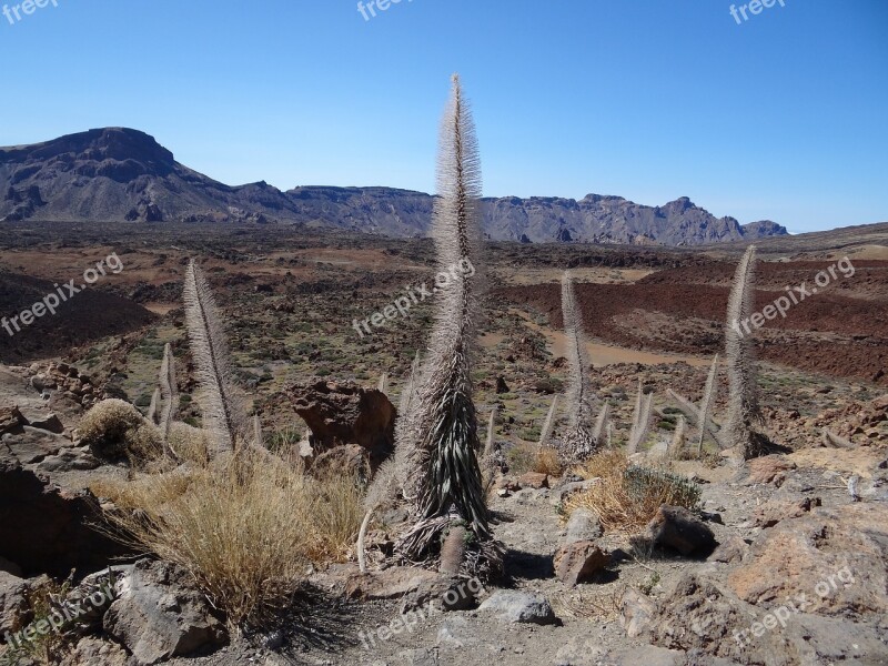 Tenerife Desert Teide National Park Free Photos