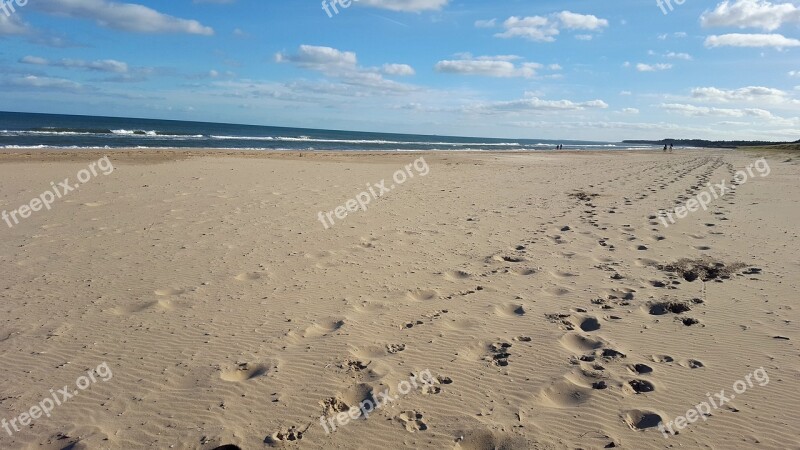 Beach Tracks Footprints Shore Coast