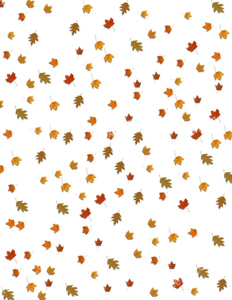 Leaves Fall Falling Background Fall Leaves Background