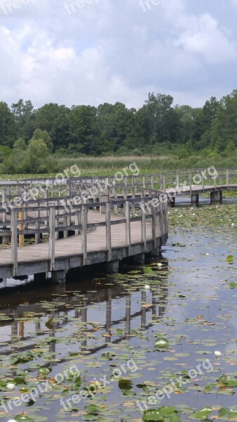 Wood Bridge Water Bridge Wood Landscape