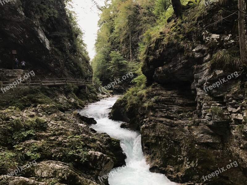 Bled Park Slovenia Trail Free Photos