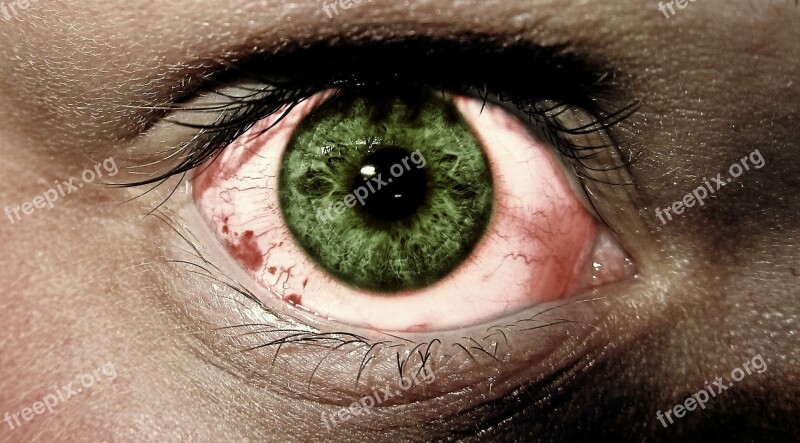 Eye Green Eyes Fear Darkness Person