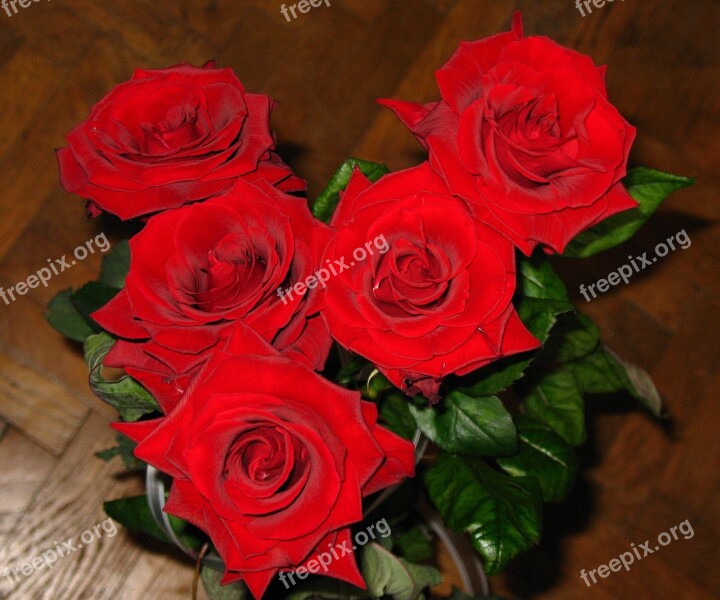 Roses Bouquet Flower Romantic Decoration