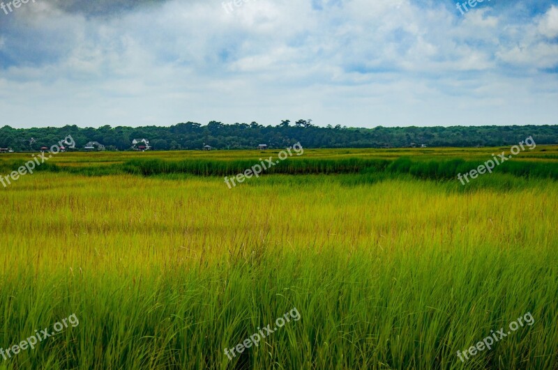 Marsh South Carolina Sky Grass Charleston