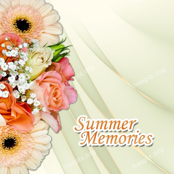 Background Photo Book Scrapbooking Summer Memories