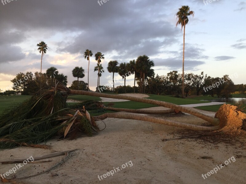 Hurricane Storm Damage Storm Damage Nature