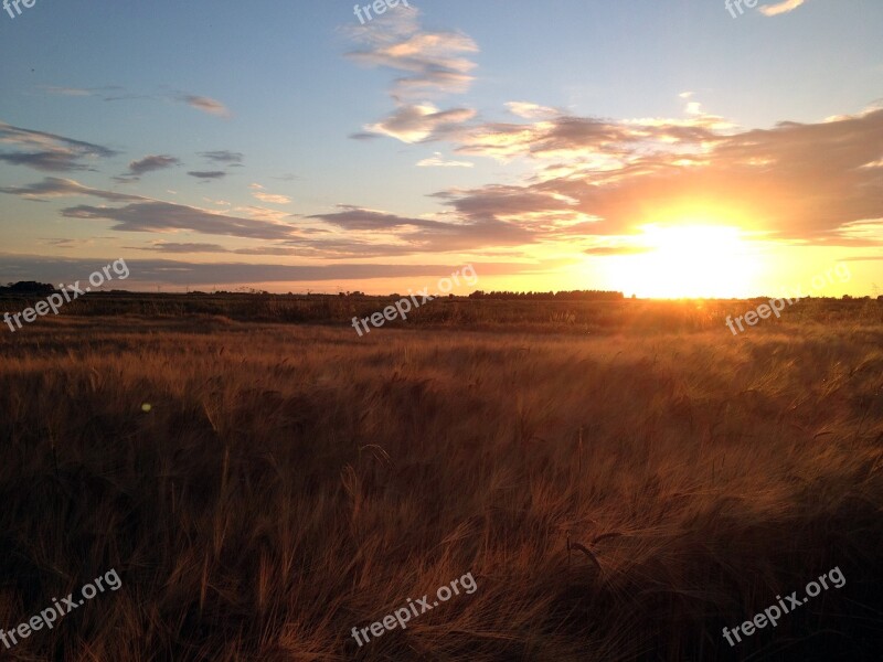 Fen Sunset Landscape Sky Environment