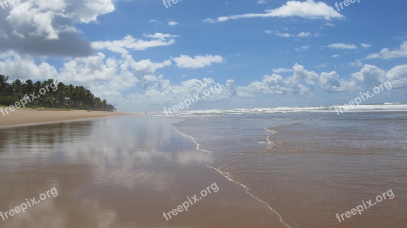 Brazil Praia-busca-vida Salvador Free Photos