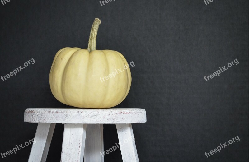 Pumpkin White Pumpkin Gourds Black Background Fall