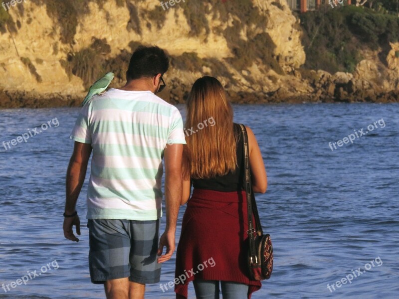 Couple Walk Beach Walking Man