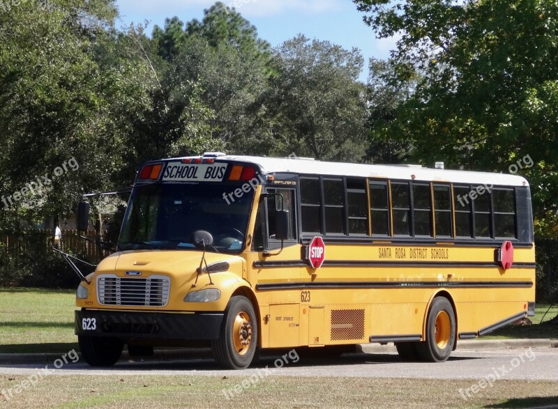 School Bus Yellow Education Transportation Bus