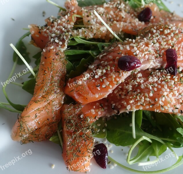 Salmon Hulled Hempseed Hemp Gravlax Rocket