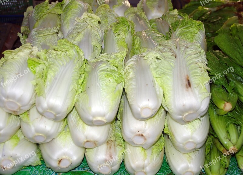 Vegetables Chinese Cabbage Pe-tsai Salad Display