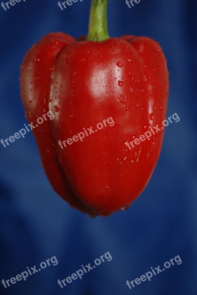 Bell Pepper Fruit Vegetable Free Photos