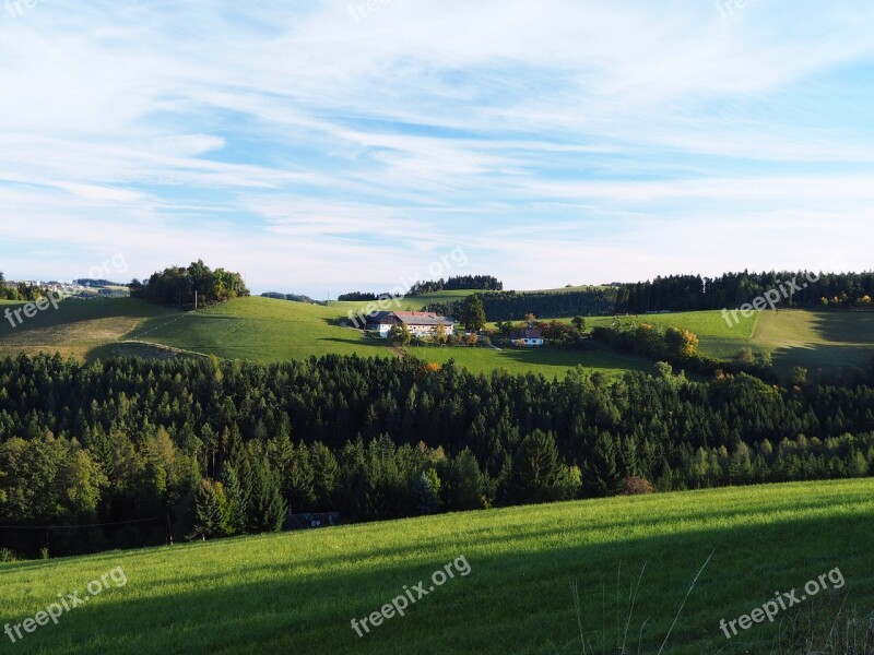 Nature Meadow Bucklige Welt Swing Lower Austria