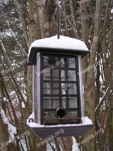 Snow Bird Feeder Winter Bird Nature