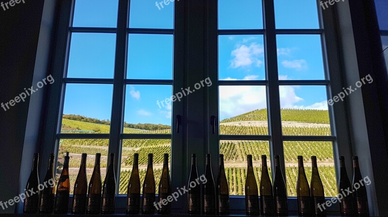 Window View Mountains Wine Vineyard