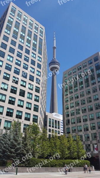 Toronto Ontario Cn Tower City Free Photos