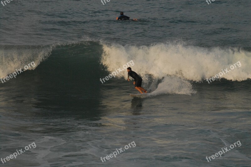 Surf Is Sport Surf Beach Free Photos