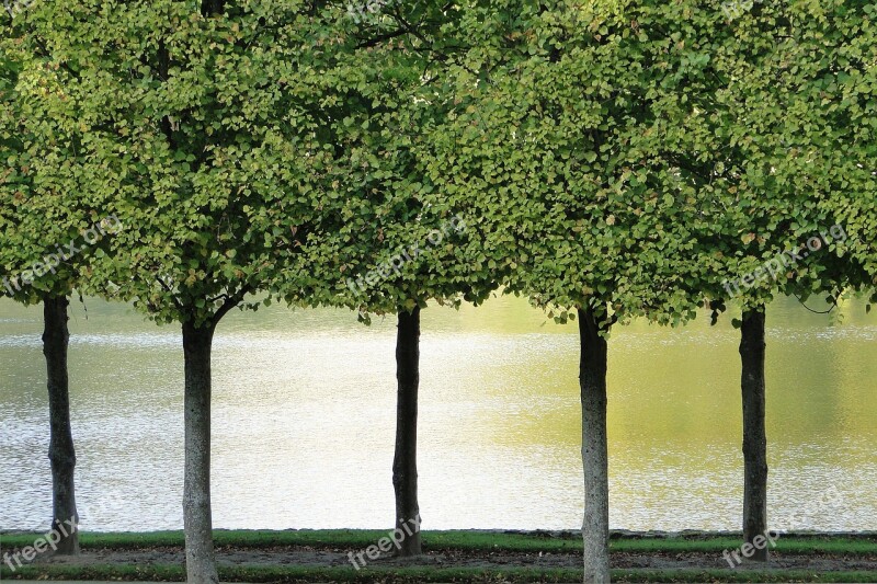 Trees Reflections Water Nature Pond