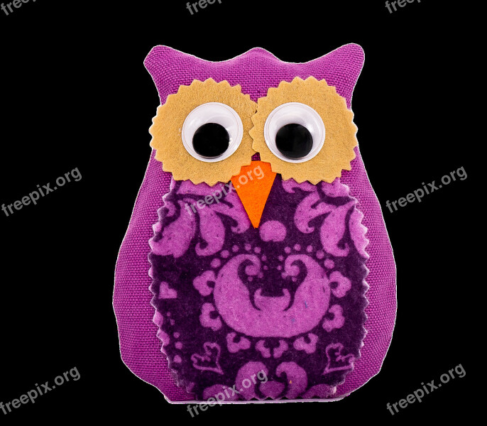 Lavender Owl Mov Big Eyes Free Photos