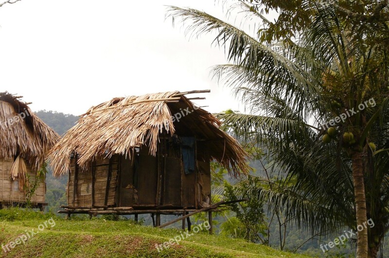 House Stilt Cottage Palm Trees Free Photos