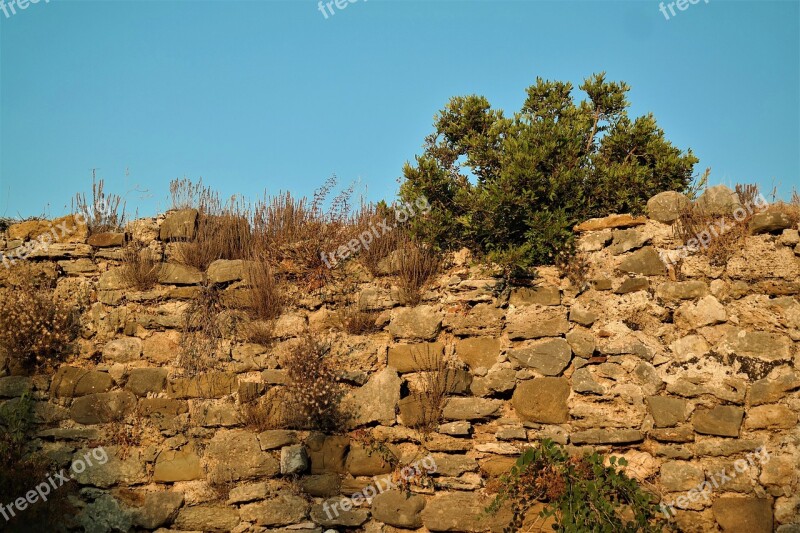 Wall Overgrown Castle Wall Stone Old